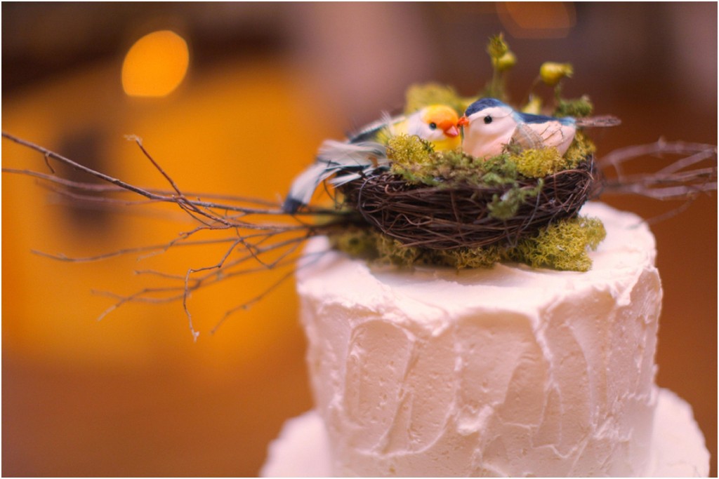 asheville_wedding_planners