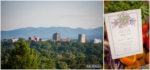 grove park inn wedding asheville planner